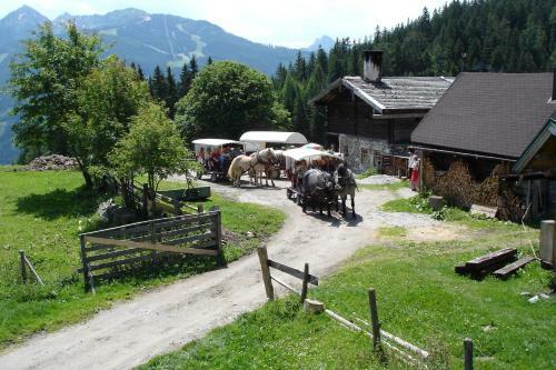 Hostal Pension Waldesruh/halseralm