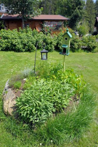 Hostal Pension Waldesruh/halseralm