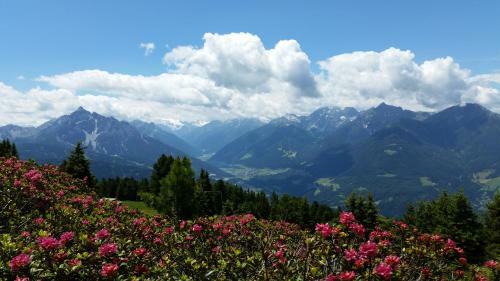 Apartamento Ferienwohnungen Tiroler Alpenhof