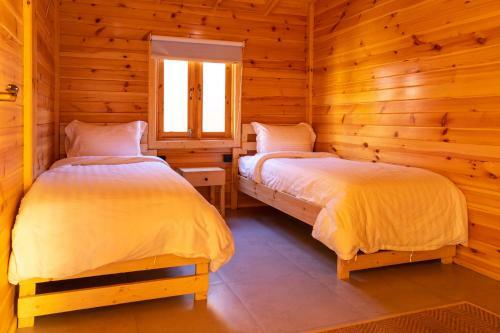 ????? ?????? ???????