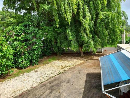 Apartamento Confort Y Relajacion