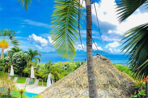 Apartamento Suite Tropical Garden Avec Vue Imprenable!!!