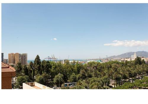 Apartamento Malagueta Campos Eliseos