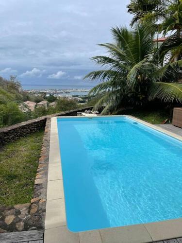 Modern City Villa Swimming Pool And View
