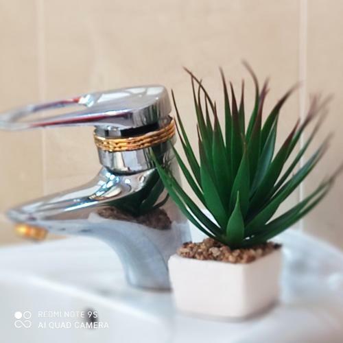 Apartamento Victoria