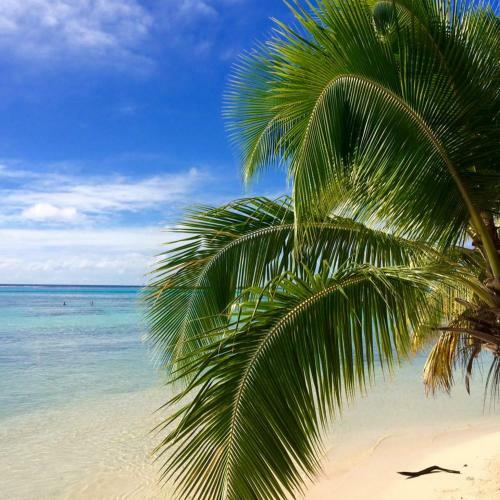 Beach De R�ves De Moorea
