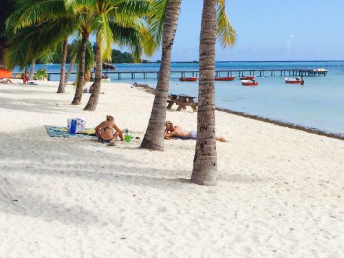 Beach De R�ves De Moorea