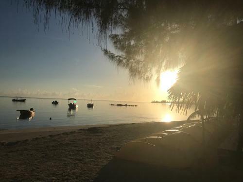 Beach De R�ves De Moorea