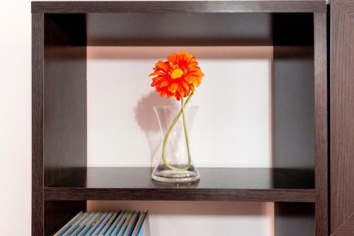 Apartamento Ventura Rodriguez 39