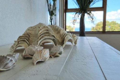 Lovely Browns Bay 4br Home Sea View Steps To Beach