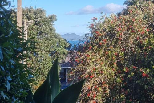 Lovely Browns Bay 4br Home Sea View Steps To Beach