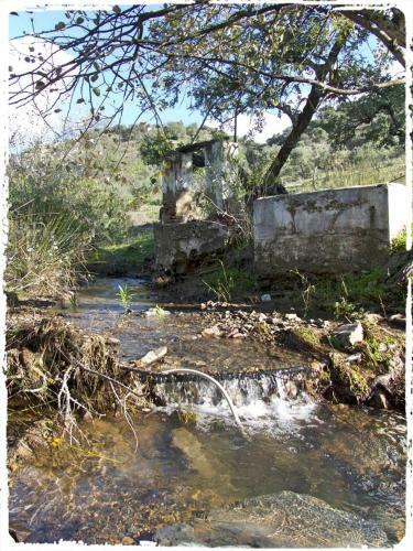 Cortijo Casas Viejas