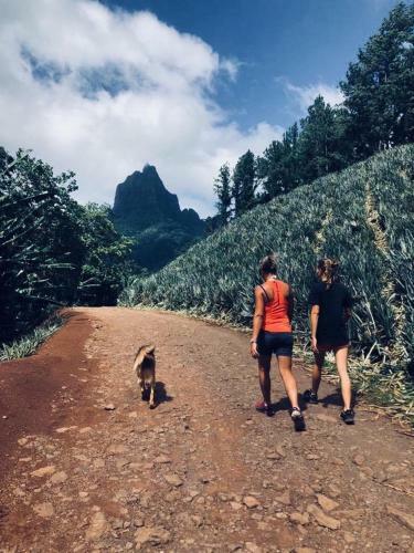 Fare Haurevaiti Moorea