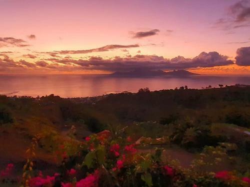 Villa Tahiti Moetama Cosy Lodge