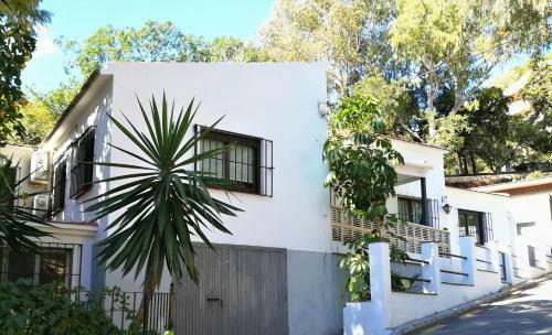 Quiet House In Malaga