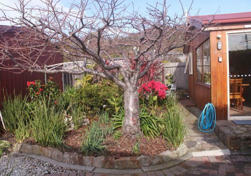 The Cottage - Tidelines Of Bicheno
