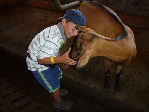 Agroturismo Familienbauernhof Burtscher