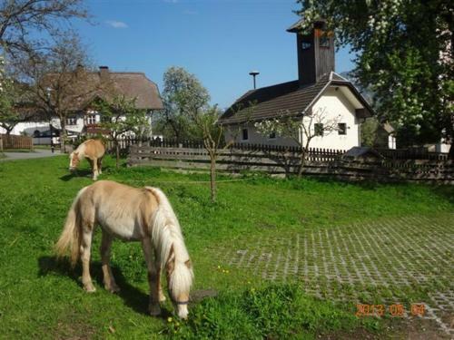 Agroturismo Urlaub Am Malerhof