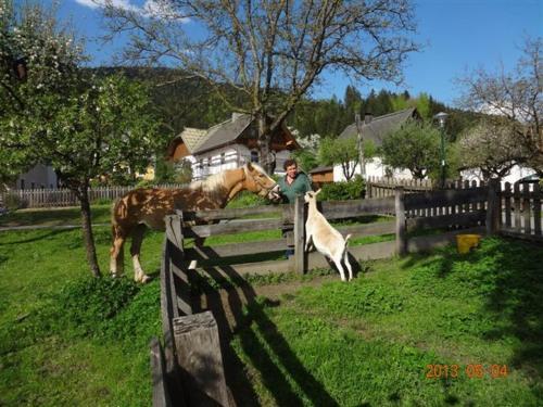 Agroturismo Urlaub Am Malerhof