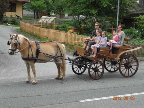 Agroturismo Urlaub Am Malerhof
