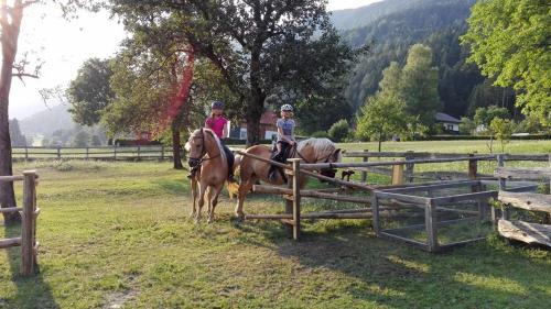 Agroturismo Urlaub Am Malerhof