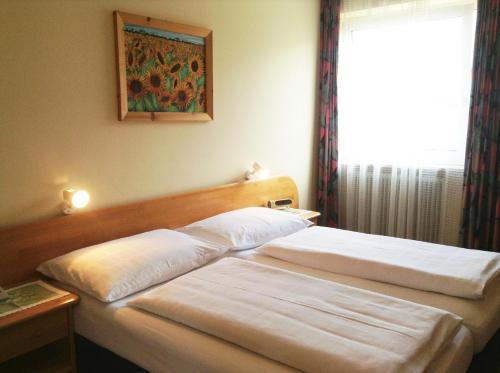 Hostal Parkpension Billroth