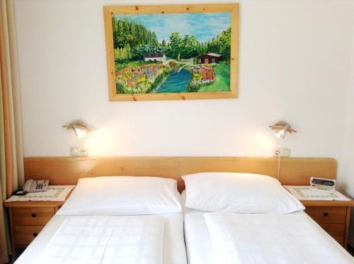 Hostal Parkpension Billroth