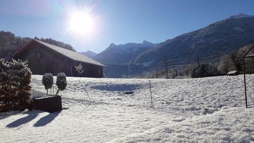 Relax- Und Vitalhotel Adler