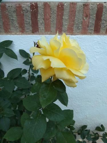 Apartamento Laguna Beach, Torrox Costa, M�laga
