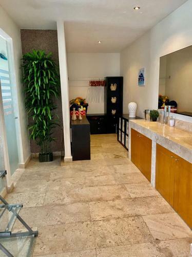 Apartamento Hermoso Ph En Acapulco Diamante