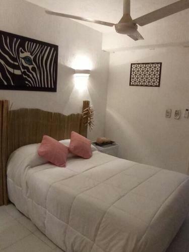 Apartamento Departamento De Piedra