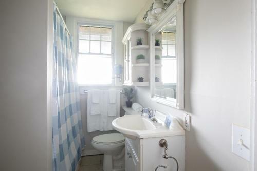 Redmont Revival-whole House-walkable-uab
