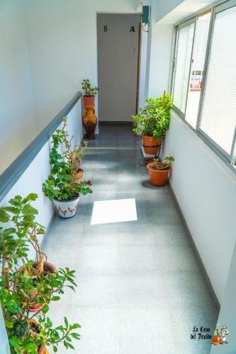 Apartamento La Casa Del Druida