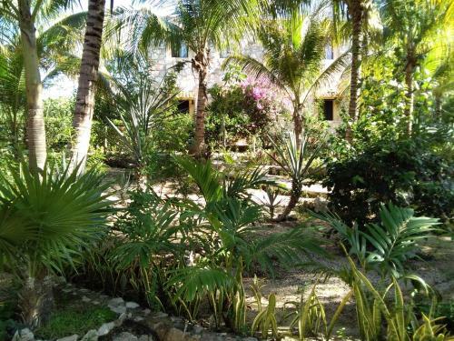 Agroturismo Villas Tortugas Akumal