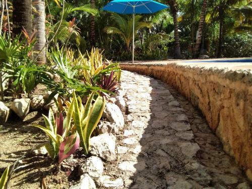 Agroturismo Villas Tortugas Akumal