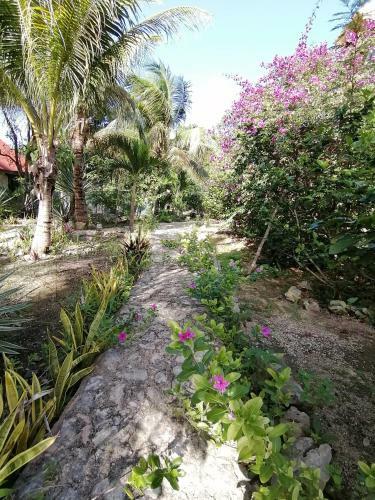 Agroturismo Villas Tortugas Akumal