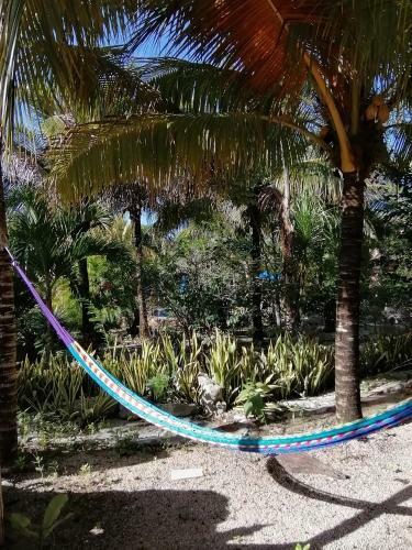 Agroturismo Villas Tortugas Akumal