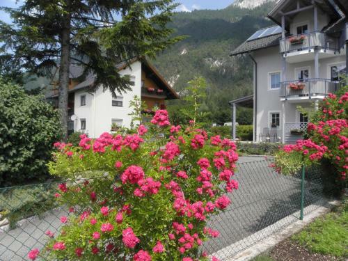 Hostal Ferienwohnungen-pension Kraker