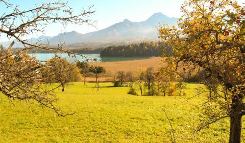 Apartamento Ferienwohnung Galerie 7