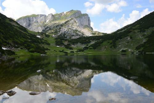 Apartamento Ferienappartements Meixner