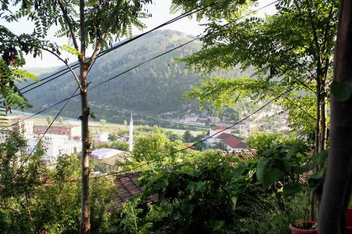 Apartamento Guesthouse Kurti
