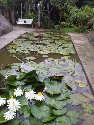 Casa En Renta En Morelos