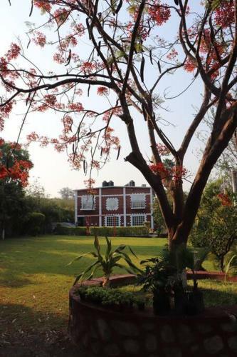 Casa En Renta En Morelos