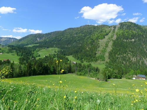 Apartamento Alpenhaus Dachstein.zauber