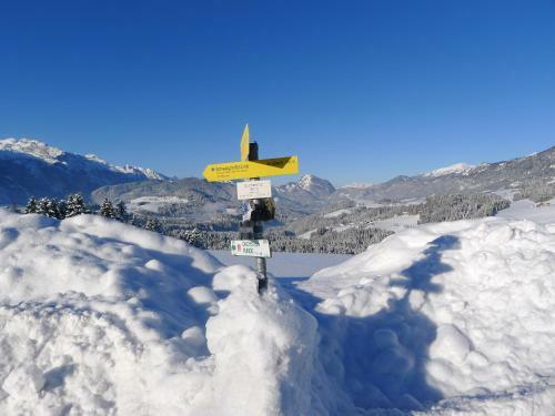 Apartamento Alpenhaus Dachstein.zauber