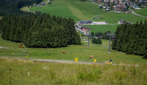 Apartamento Alpenhaus Dachstein.zauber