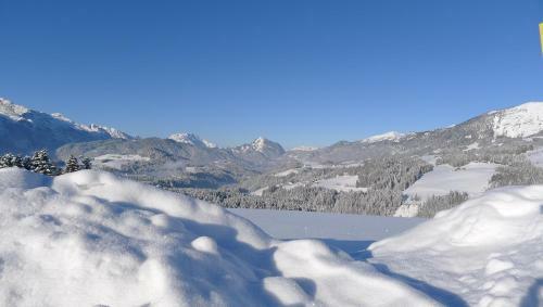 Apartamento Alpenhaus Dachstein.zauber