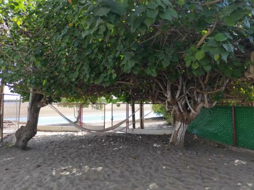 Casa En Altata Las Aguilas, Nav. Sinaloa