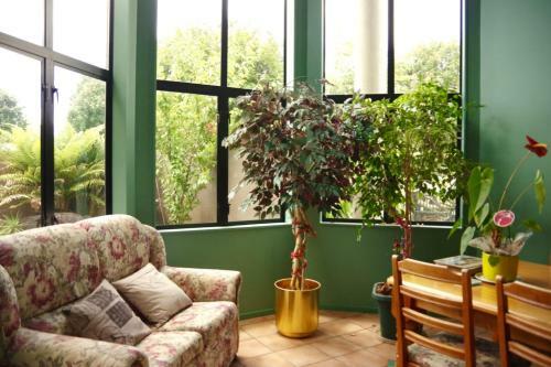 Hamilton East Homestay