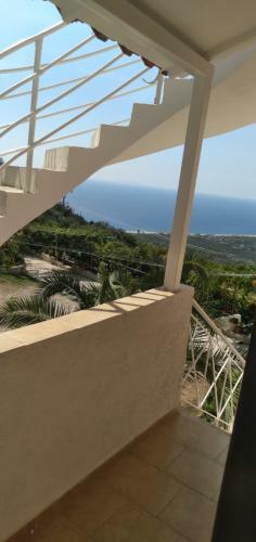 Apartamente Arturi